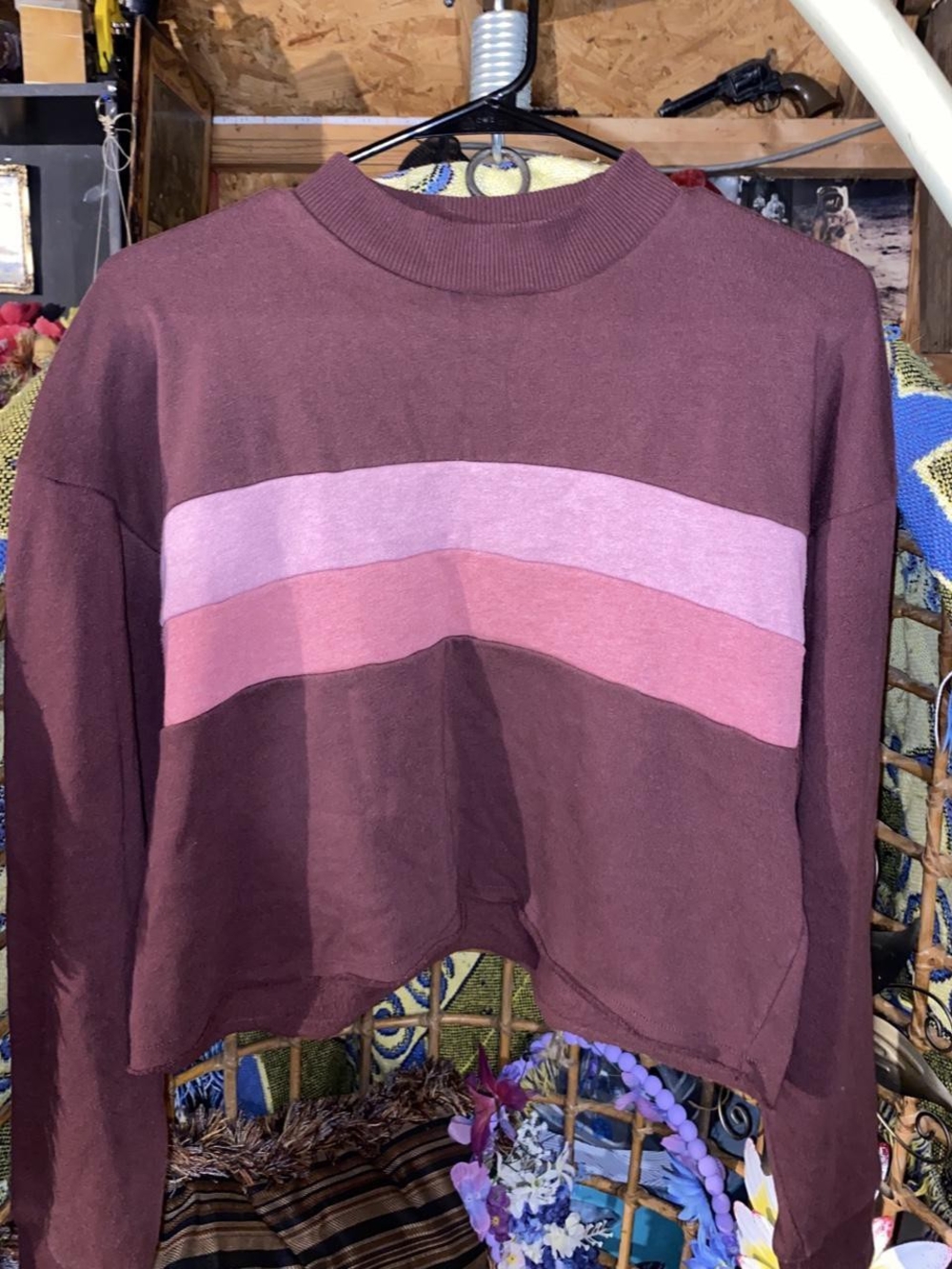 American Eagle Cropped Striped Sweatshirt Burgundy Pink Retro Mock Neck M